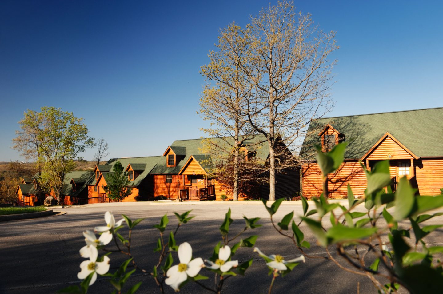 Branson Woods Family Cabins